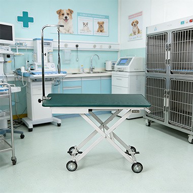 Tá Huifeng Medical ag Méadú a Infheistíochta sa Mhargadh Soláthairtí Peataí L...